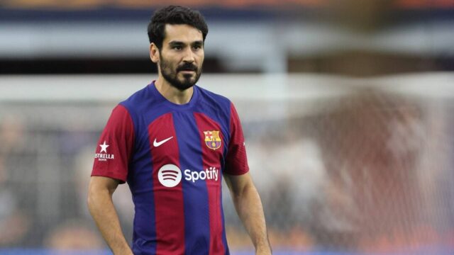 Gundogan foto