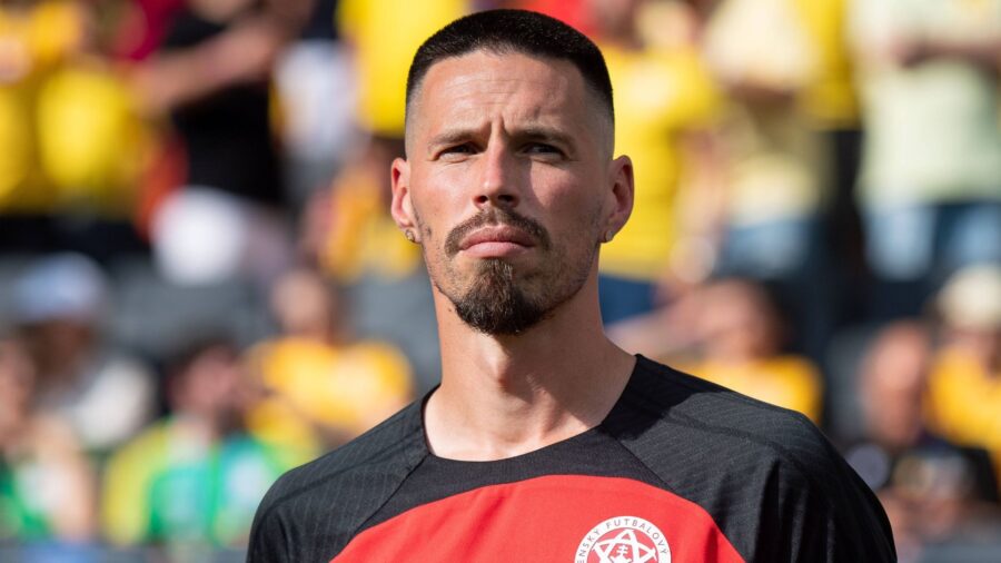 Hamsik