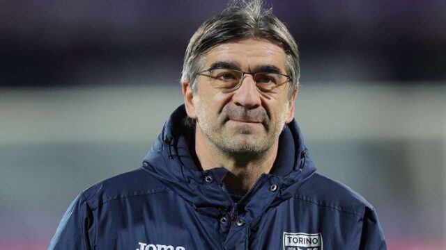 Juric toro