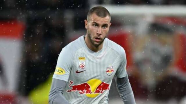 Pavlovic al Milan