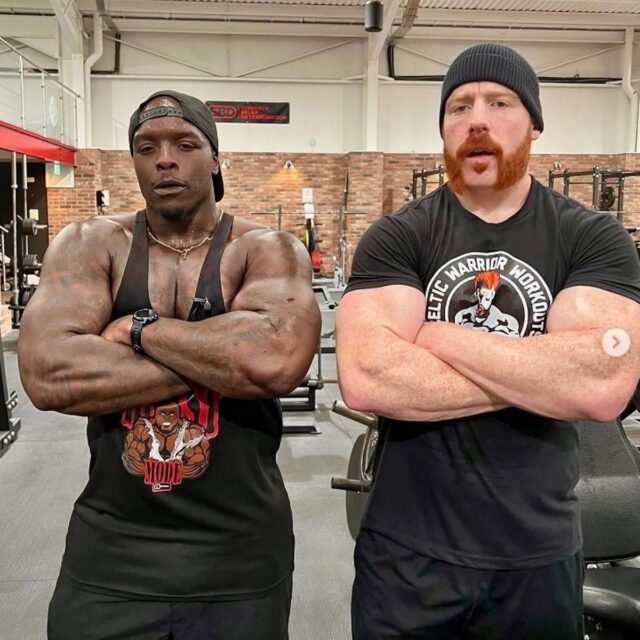 Akinfenwa sheamus
