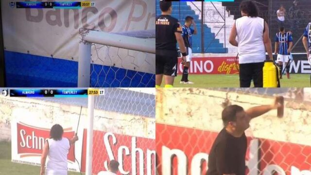 Arbitro sospende la partita per invasione di api