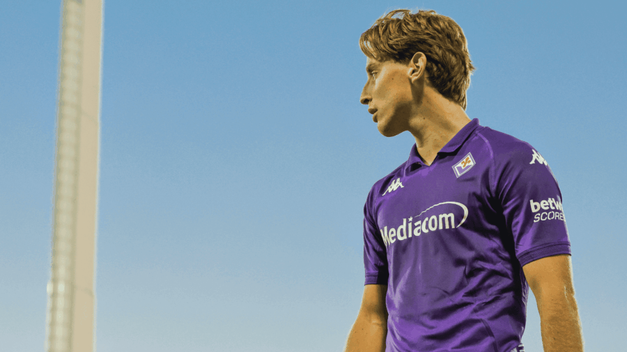 Bove fiorentina dottor baldi