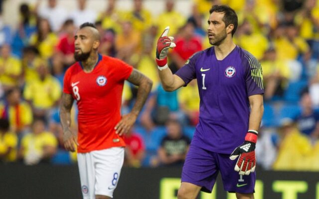 Bravo vidal