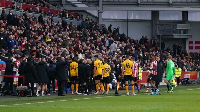Brentford wolves