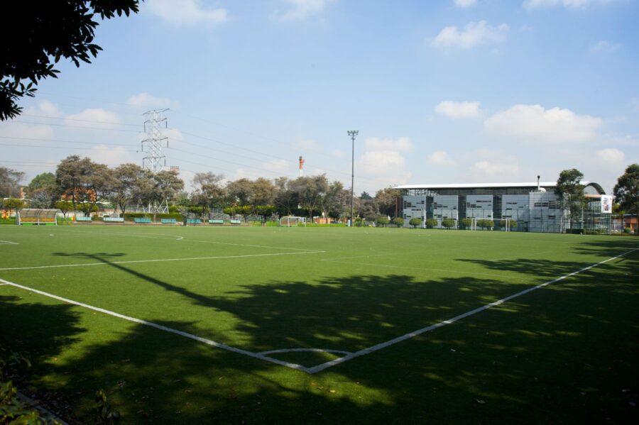 Cancha