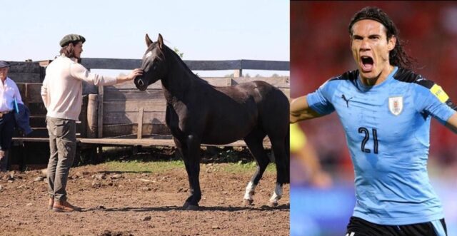 Cavani