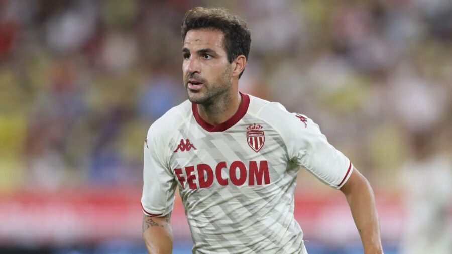 Cesc fabregas
