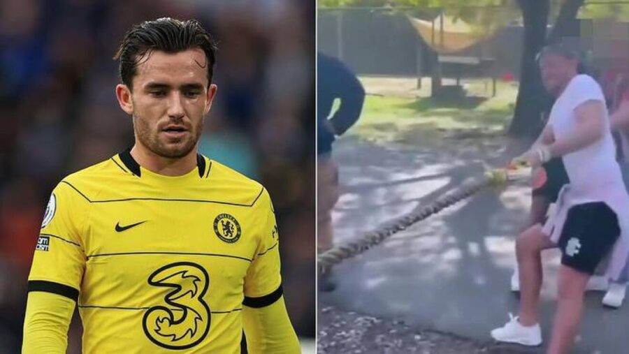 Chilwell tigre