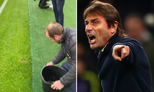 Conte