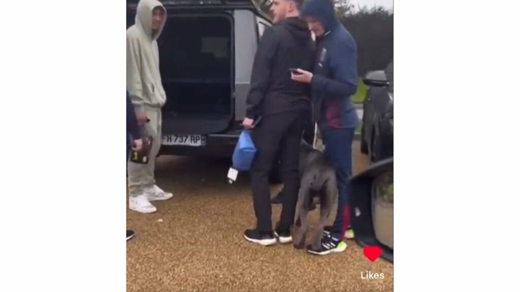 cornet-cane-west-ham-1024x576