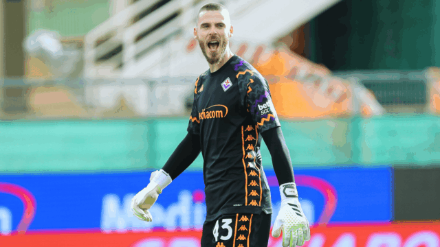 De gea fiorentina manchester united city