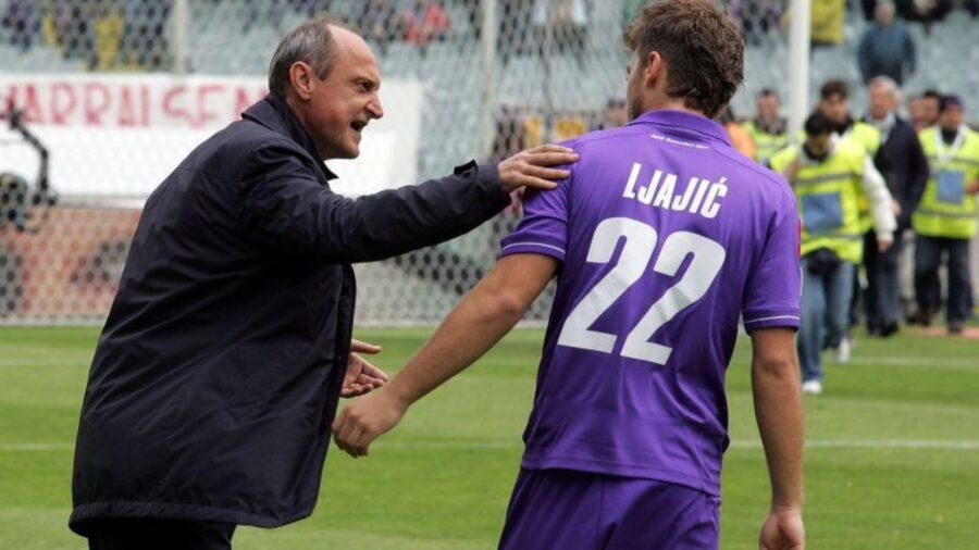 Delio rossi ljajic lite