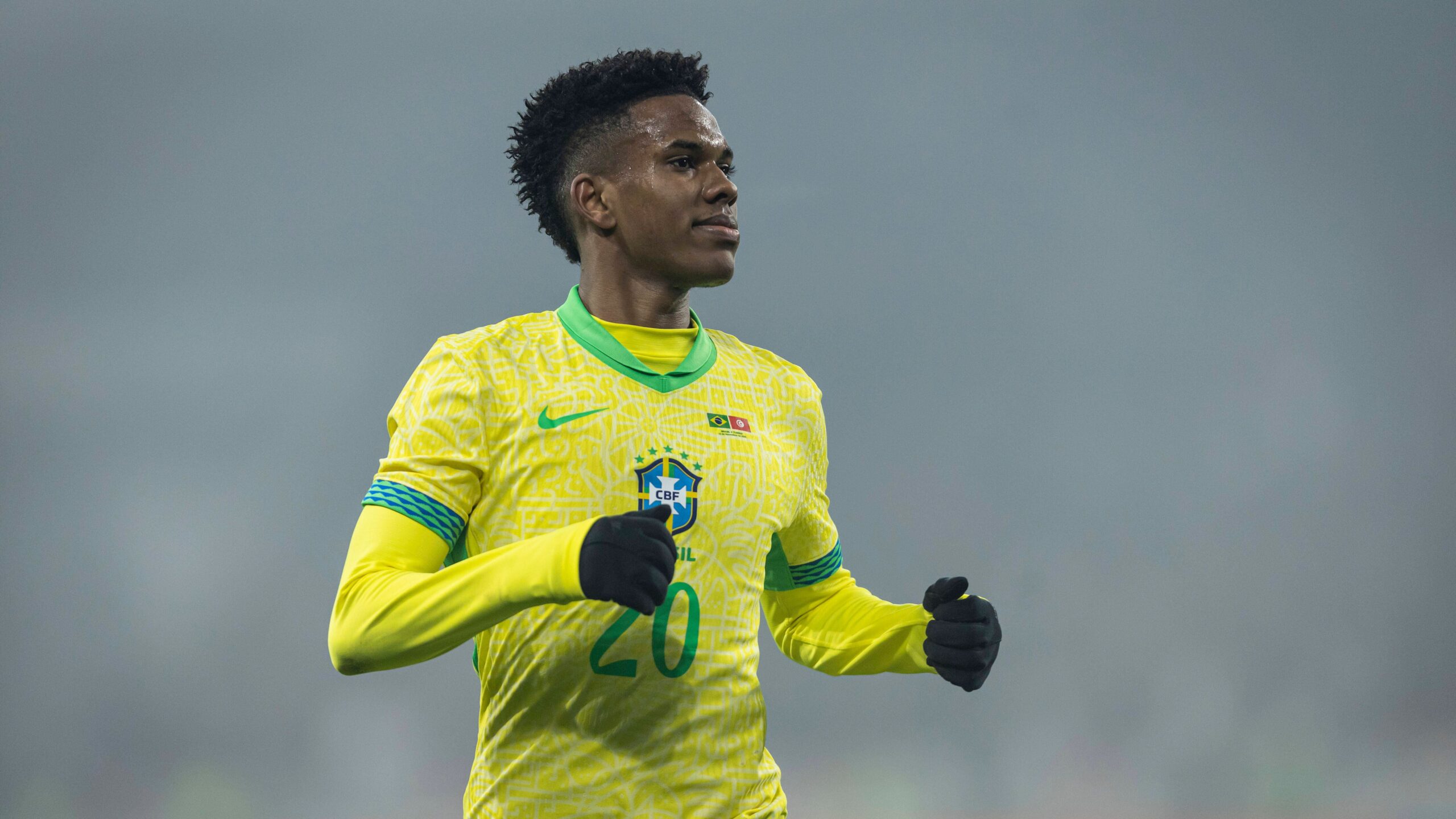 Estevao stella del Brasile