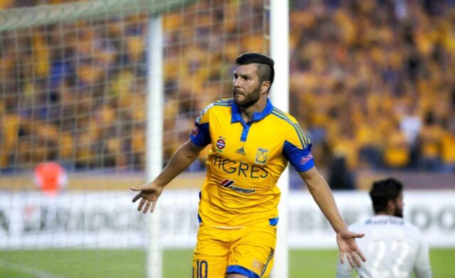 Gignac tigres
