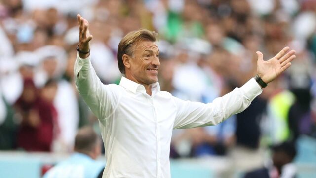 Herve renard