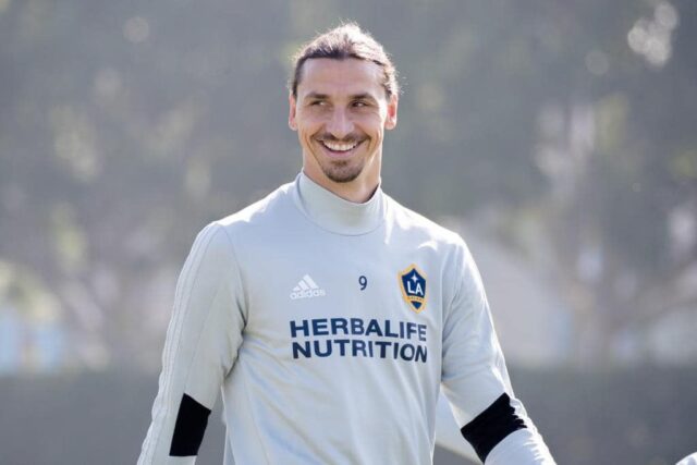 Ibrahimovic come garibaldi