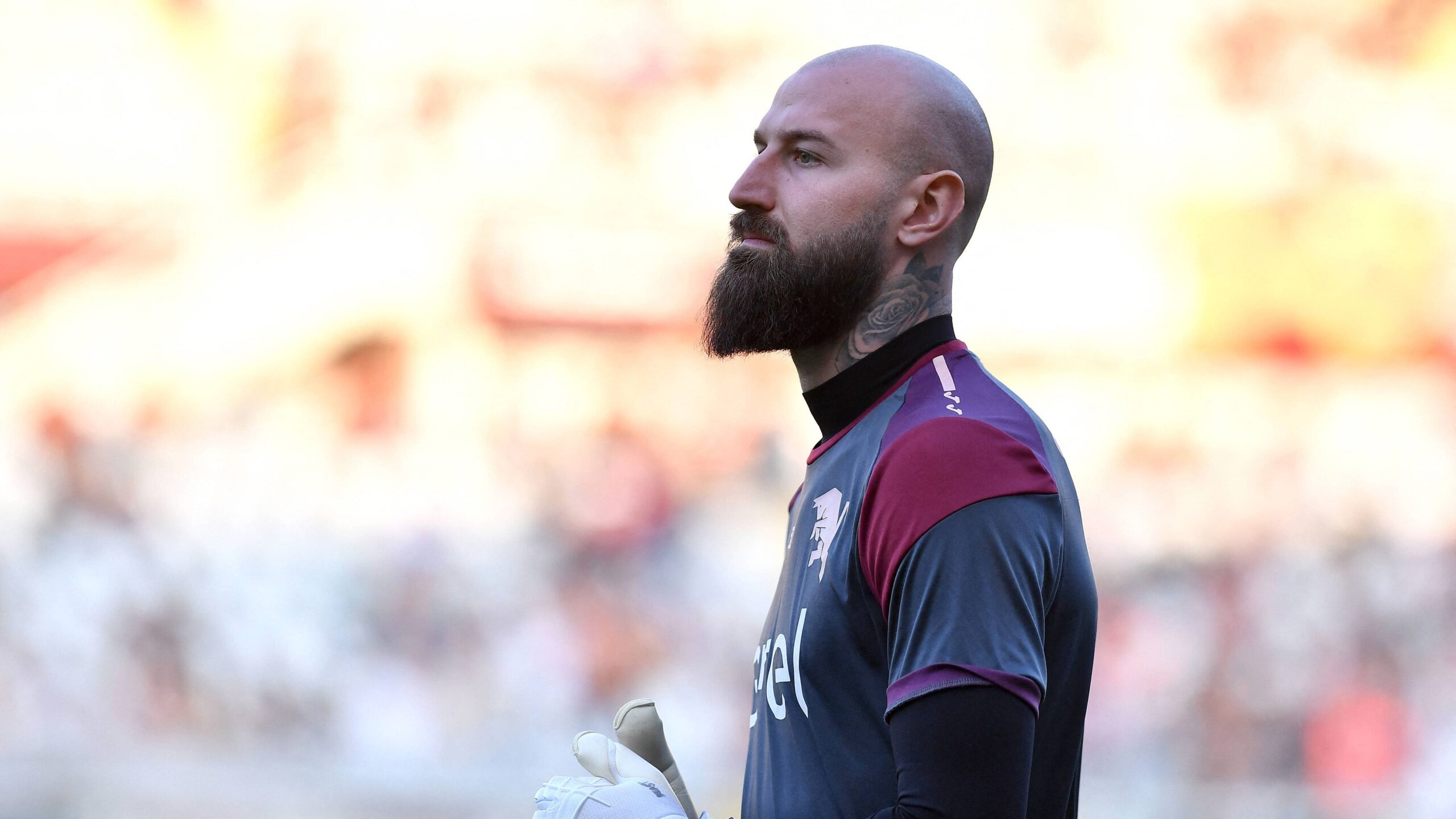 milinkovic-savic torino