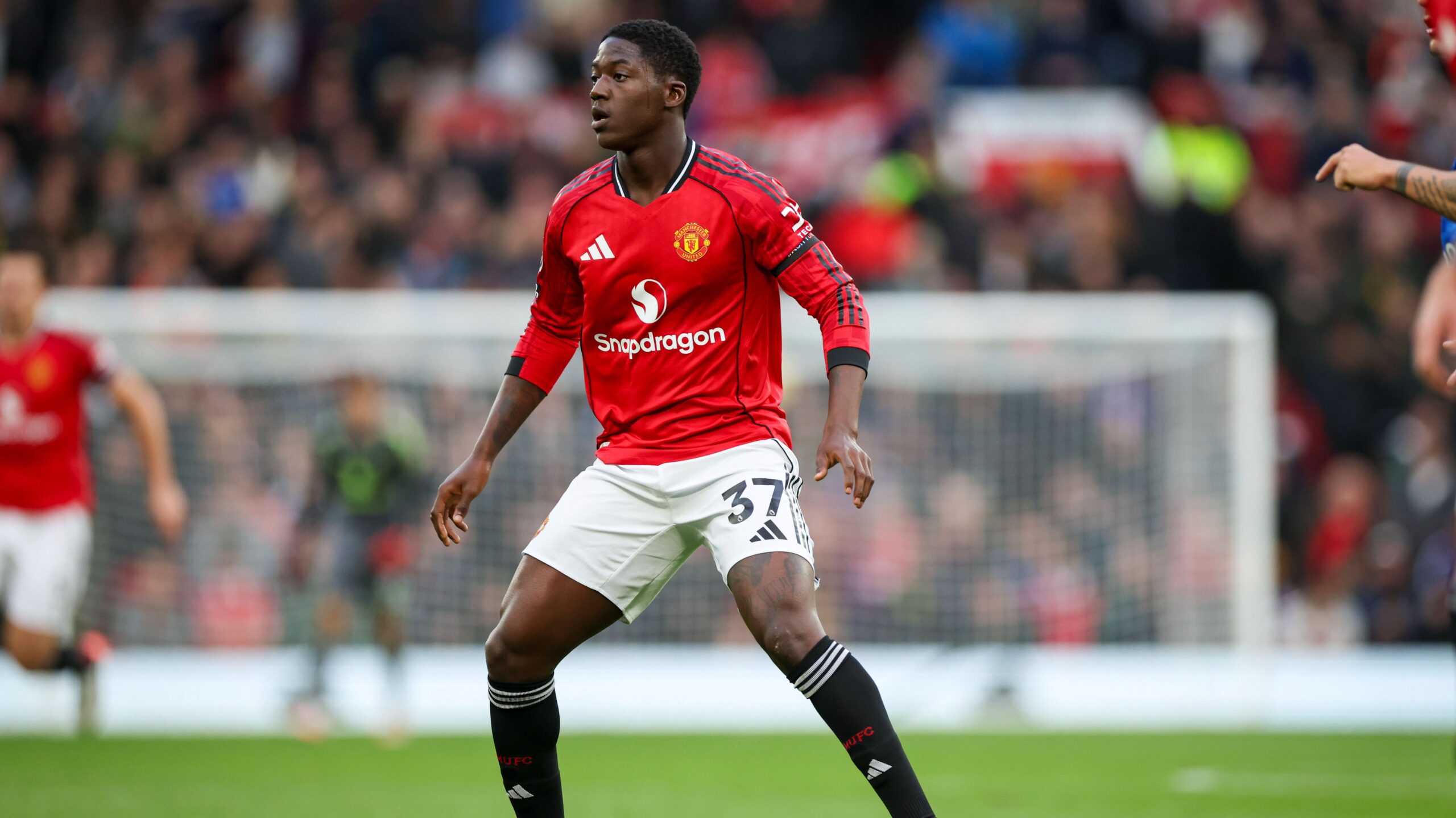 Mainoo Manchester United