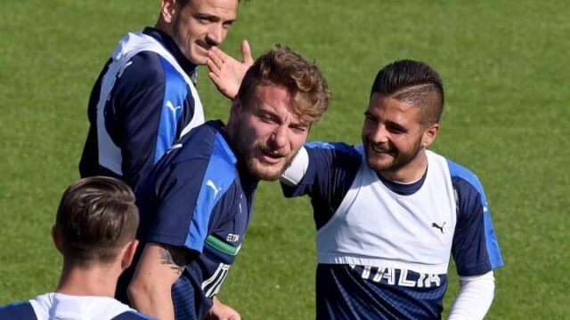 Immobile insigne