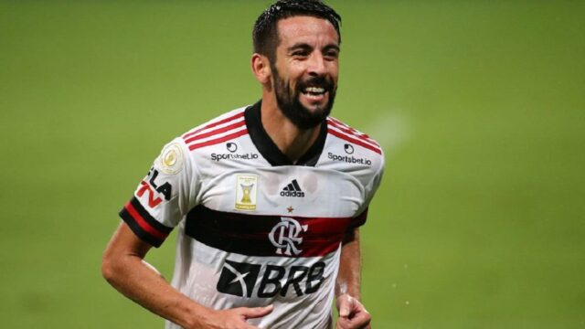 Isla flamengo