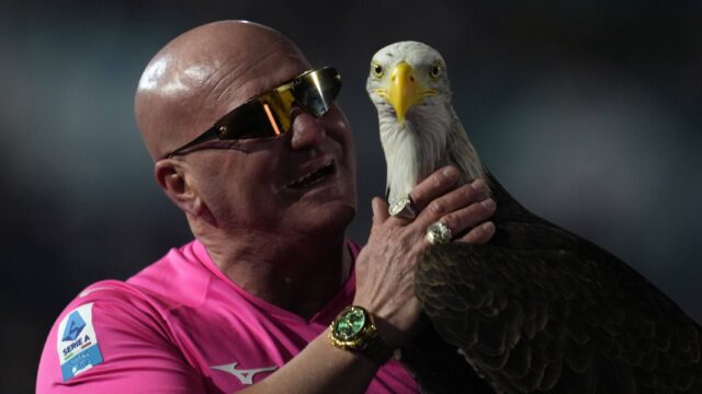 Juan bernabe falconiere olympia