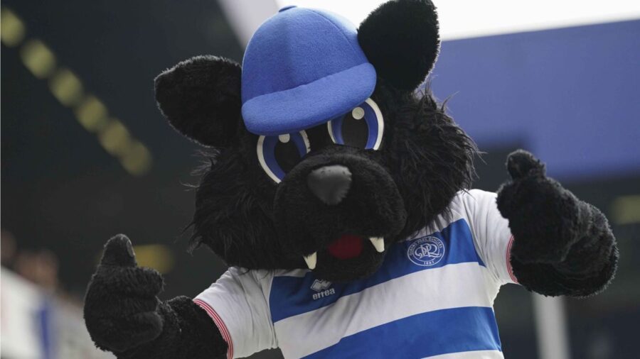 Jude the cat qpr licenziato
