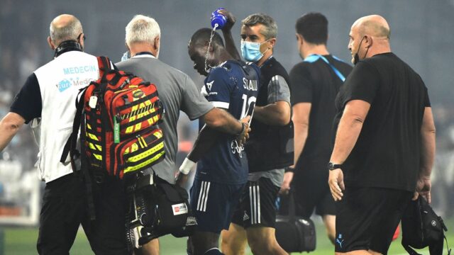 Kalu sviene in campo
