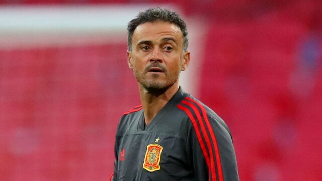 Luis enrique milan