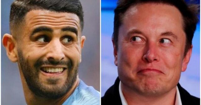 Mahrez musk