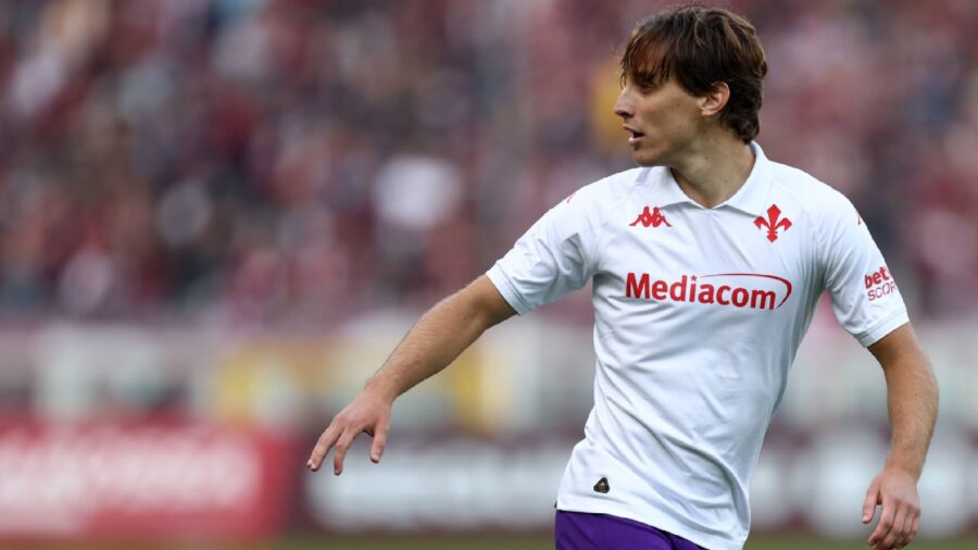 Malore bove comunicato fiorentina