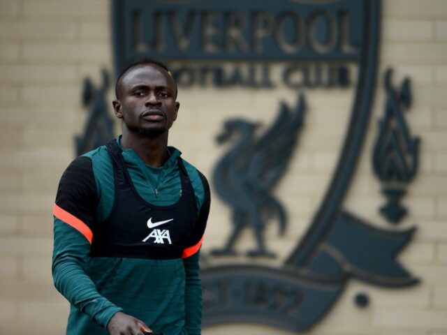 Mane 2