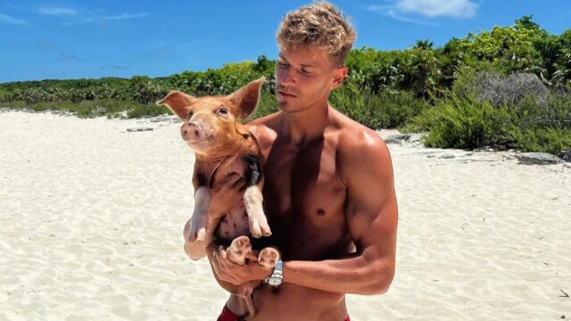 Marcos llorente dieta paleolitica