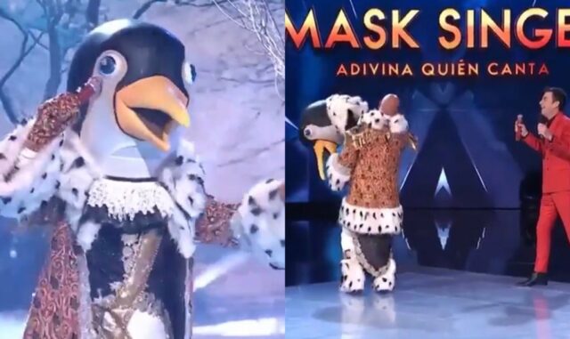 Masked singer