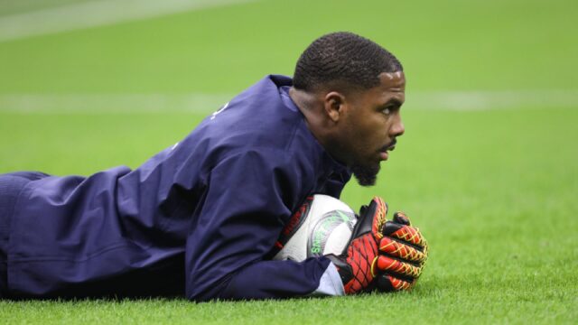 Mike maignan portiere francia