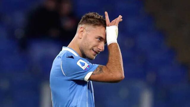 Newcastle immobile