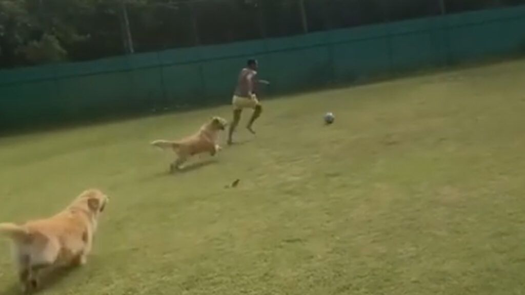 neymar-cani-1024x576