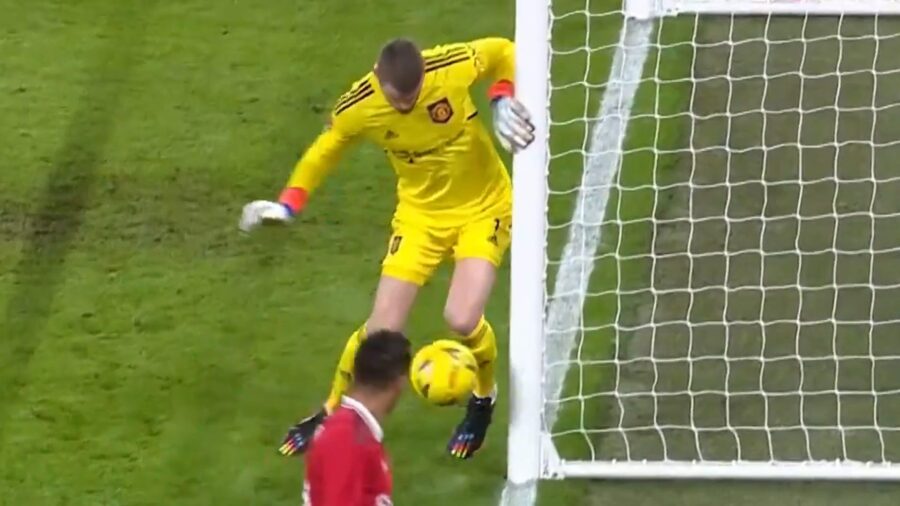 Papera de gea