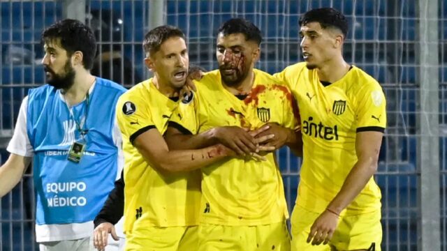 Penarol maxi oliveira sangue