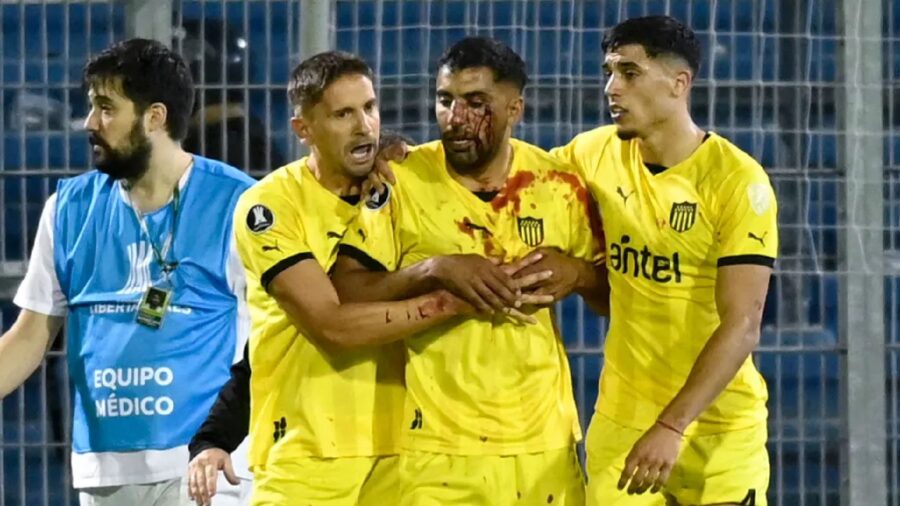 Penarol maxi oliveira sangue