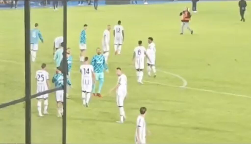 pinsoglio-gatti-1024x590