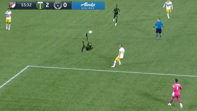 Rovesciata asprilla