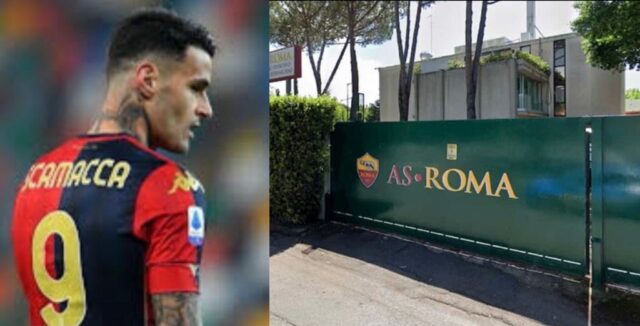 Scamacca trigoria