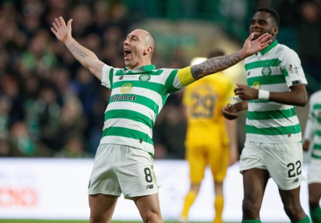 Scott brown