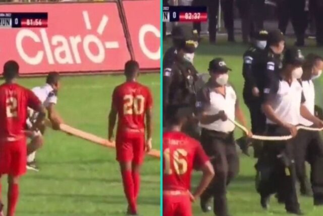 Serpente invade il campo