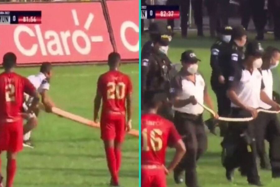 Serpente invade il campo