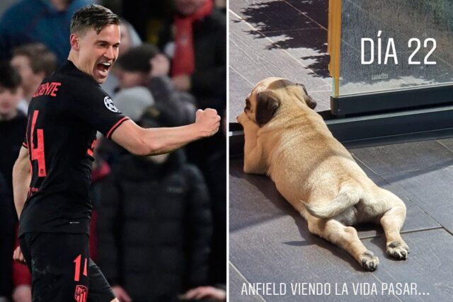 Sport preview llorente
