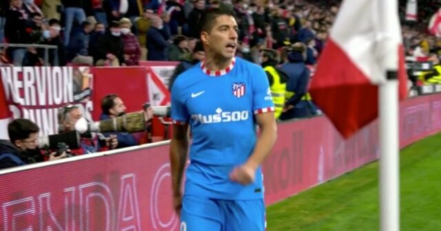 Suarez 1