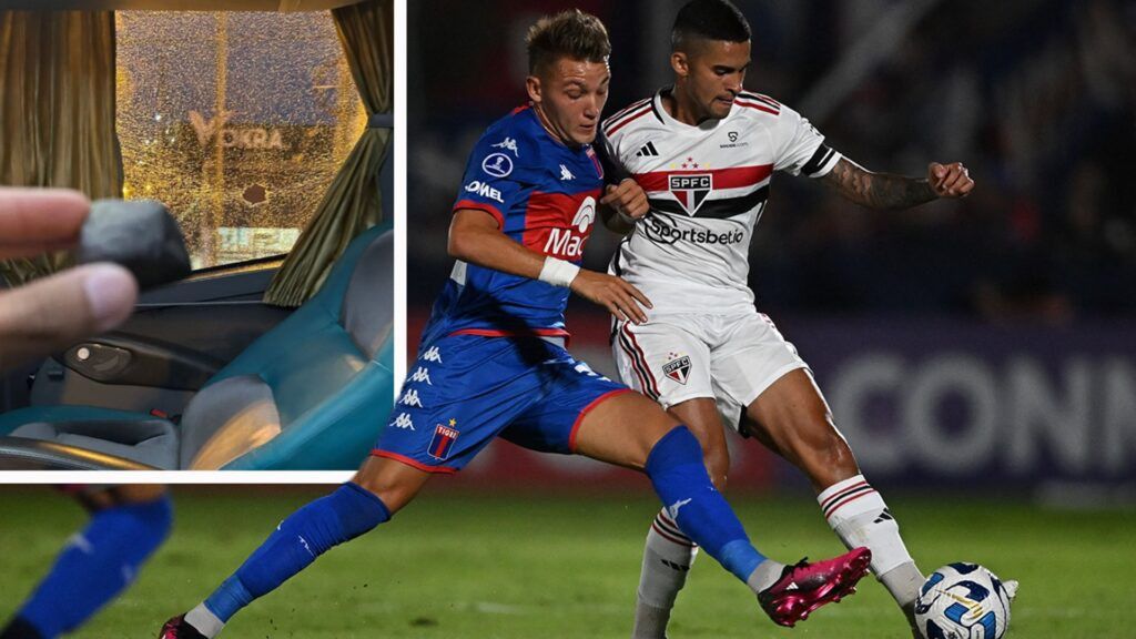 tigre-san-paolo-1024x576