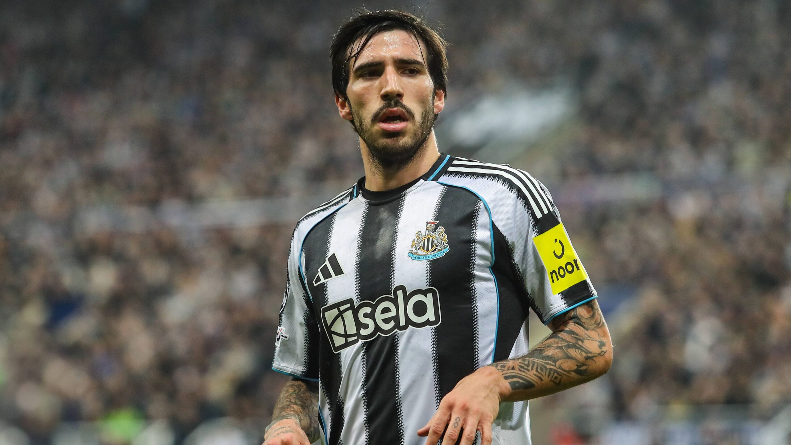 juve su tonali del newcastle